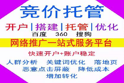 百度推广成功案例：打造行业领军品牌之路